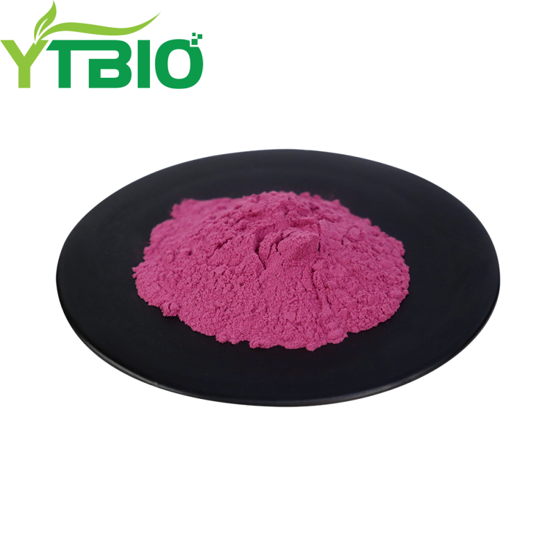 Does blueberry fruit powder help with bone health?